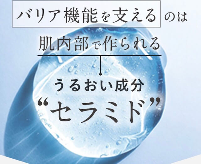 バリア機能を支えるセラミド